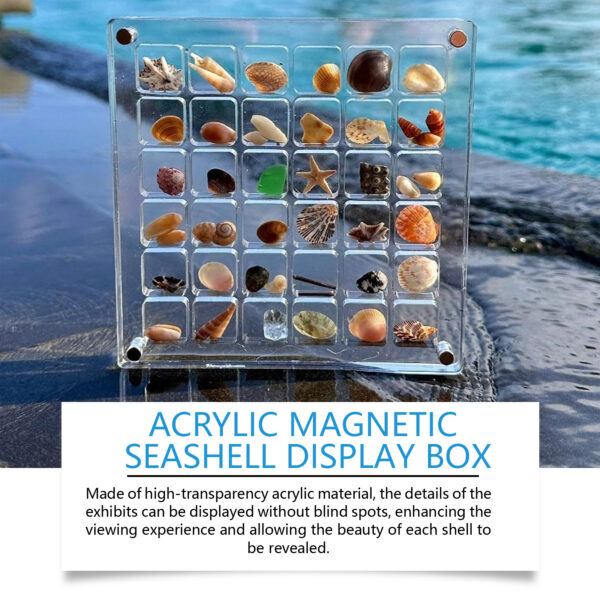 Acrylic Shells Display Case Seashells Holder For Collectors Seashells Presentation Box - Image 6