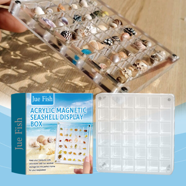 Acrylic Shells Display Case Seashells Holder For Collectors Seashells Presentation Box