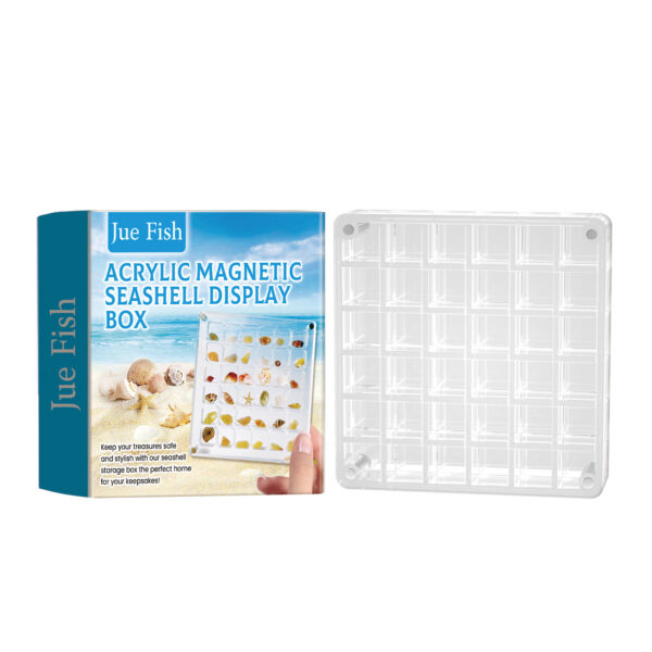 Acrylic Shells Display Case Seashells Holder For Collectors Seashells Presentation Box - Image 2